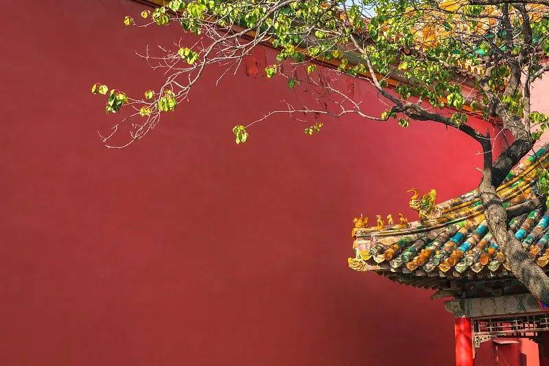 香港酒店装修风格全:经典港式设计+现代潮流趋势+避坑指南(附20个案例) - 装修效果图