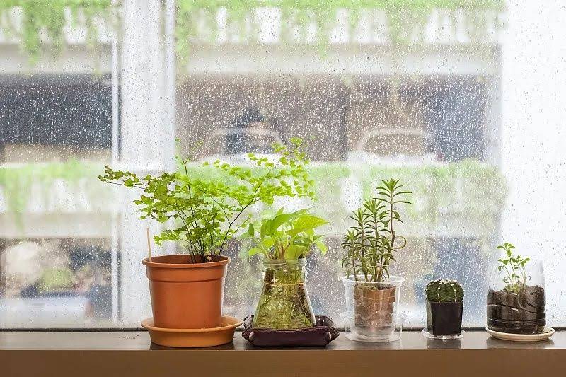 奉节全包装修公司哪家好？亿安居5年0投诉全流程拆解，附避坑指南 - 装修效果图