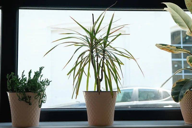家庭装修电路布局全攻略避坑指南+干货分享附全屋分组方案图解 - 装修效果图