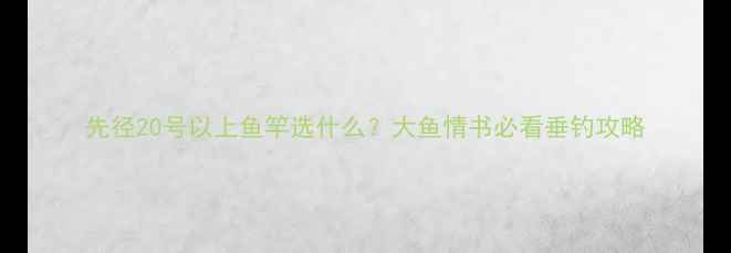 图片 先径20号以上鱼竿选什么？大鱼情书必看垂钓攻略