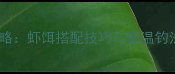 图片 冬季野钓鲫鱼全攻略：虾饵搭配技巧与低温钓法（附实战案例）2