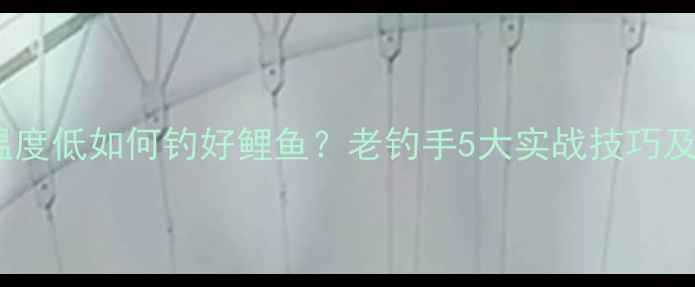图片 冬季黑坑温度低如何钓好鲤鱼？老钓手5大实战技巧及饵料配方1