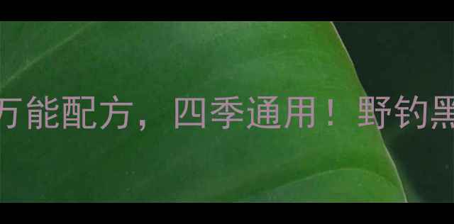 图片 北京钓鱼达人小崔最新钓鱼饵料万能配方，四季通用！野钓黑坑通杀，鱼情变化也能稳准狠！