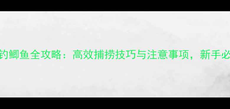 图片 地笼钓鲫鱼全攻略：高效捕捞技巧与注意事项，新手必看！