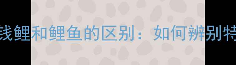 图片 垂钓必看！金钱鲤和鲤鱼的区别：如何辨别特征及垂钓技巧