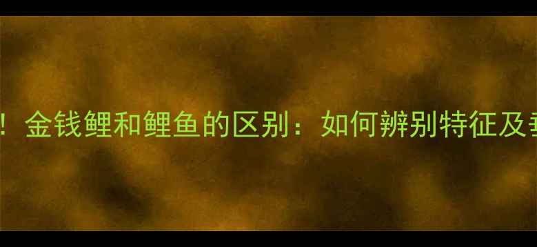 图片 垂钓必看！金钱鲤和鲤鱼的区别：如何辨别特征及垂钓技巧2