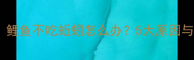 图片 垂钓技巧：鲤鱼不吃蚯蚓怎么办？5大原因与应对策略1