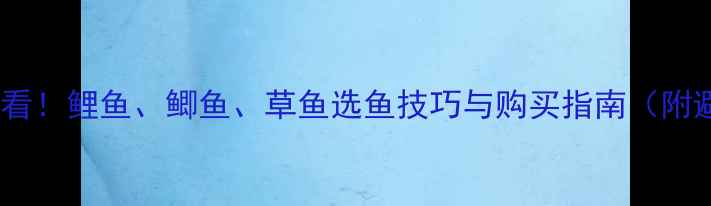 图片 垂钓新手必看！鲤鱼、鲫鱼、草鱼选鱼技巧与购买指南（附避坑攻略）1