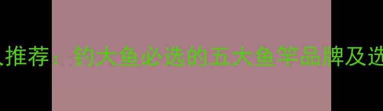 图片 垂钓达人推荐：钓大鱼必选的五大鱼竿品牌及选购指南1