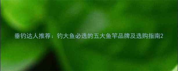 图片 垂钓达人推荐：钓大鱼必选的五大鱼竿品牌及选购指南2