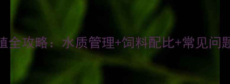 图片 垂钓饵料红虫家庭养殖全攻略：水质管理+饲料配比+常见问题解决（附设备清单）