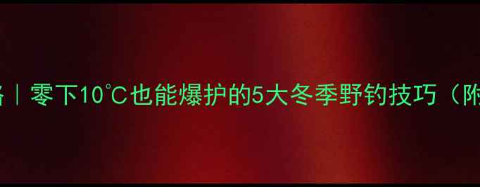 图片 天气骤冷野钓攻略｜零下10℃也能爆护的5大冬季野钓技巧（附保暖装备清单）2