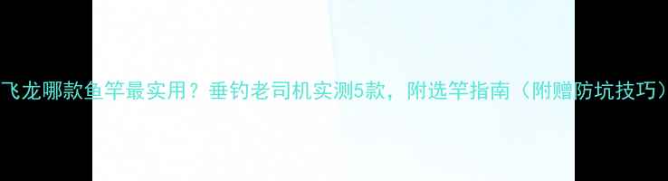 图片 宝飞龙哪款鱼竿最实用？垂钓老司机实测5款，附选竿指南（附赠防坑技巧）2