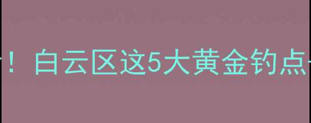 图片 广州白云钓鱼全攻略新手必看！白云区这5大黄金钓点+避坑指南（附实时水位表）1