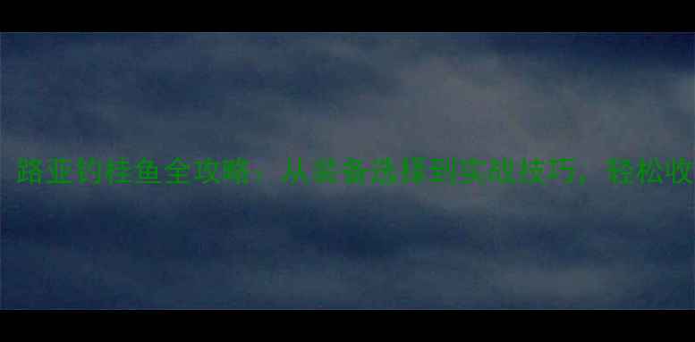 图片 新手必看！路亚钓桂鱼全攻略：从装备选择到实战技巧，轻松收获大板桂1
