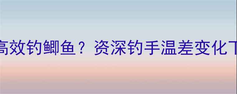 图片 昼夜温差大如何高效钓鲫鱼？资深钓手温差变化下的精准作钓技巧