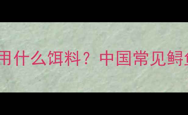 图片 最新垂钓指南：钓鲟鱼用什么饵料？中国常见鲟鱼种类及必看技巧深度1