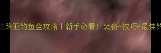 图片 武汉汉江路亚钓鱼全攻略｜新手必看！装备+技巧+最佳钓点推荐