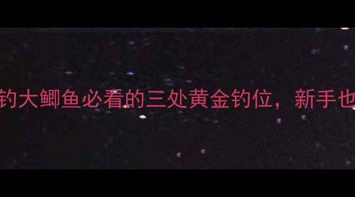 图片 水库钓鱼攻略｜钓大鲫鱼必看的三处黄金钓位，新手也能轻松爆护！🎣