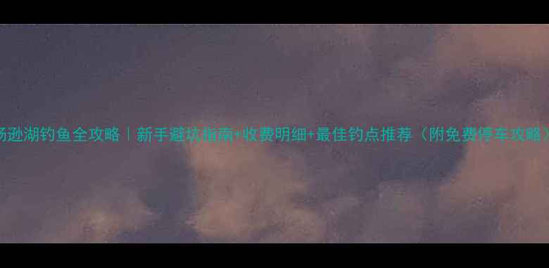 图片 汤逊湖钓鱼全攻略｜新手避坑指南+收费明细+最佳钓点推荐（附免费停车攻略）