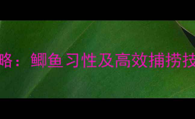 图片 电鱼频率选择全攻略：鲫鱼习性及高效捕捞技巧（附实测数据）