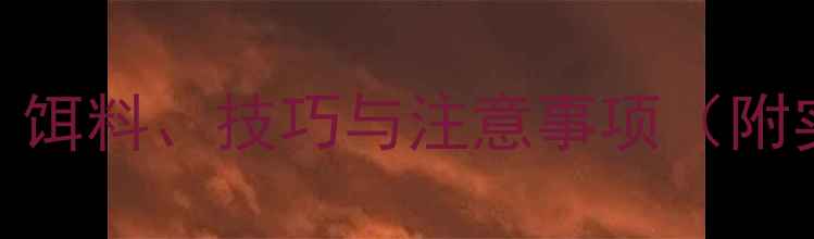 图片 秋季大雾天野钓全攻略：饵料、技巧与注意事项（附实战案例）｜钓鱼人必看
