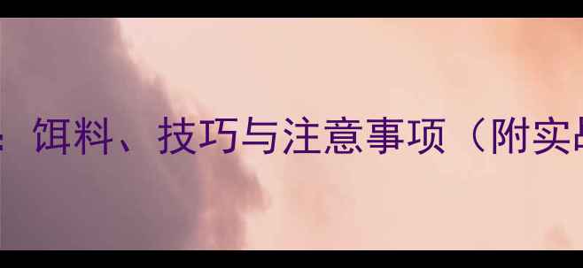 图片 秋季大雾天野钓全攻略：饵料、技巧与注意事项（附实战案例）｜钓鱼人必看1