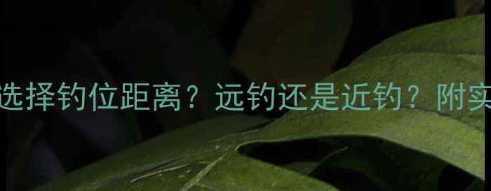 图片 秋季野钓鲫鱼如何选择钓位距离？远钓还是近钓？附实战技巧与鱼情分析