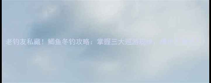 图片 老钓友私藏！鲫鱼冬钓攻略：掌握三大巡游规律，爆护不是梦！1