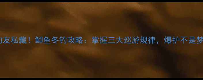 图片 老钓友私藏！鲫鱼冬钓攻略：掌握三大巡游规律，爆护不是梦！2