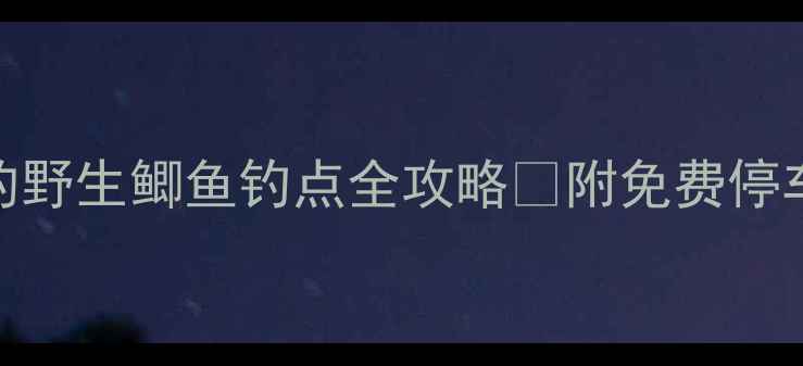图片 衢州钓鱼人私藏的野生鲫鱼钓点全攻略🎣附免费停车攻略+防坑指南1
