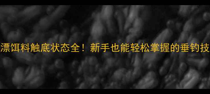 图片 调漂饵料触底状态全！新手也能轻松掌握的垂钓技巧