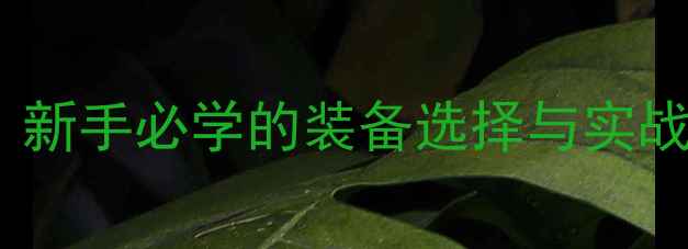 图片 路亚海钓全攻略：新手必学的装备选择与实战技巧（含深度）1