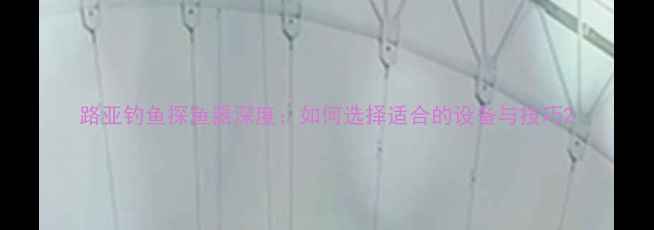 图片 路亚钓鱼探鱼器深度：如何选择适合的设备与技巧2