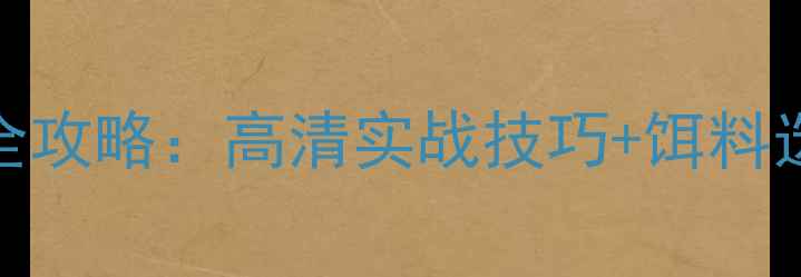 图片 路亚钓鱼比赛全攻略：高清实战技巧+饵料选择+装备推荐1
