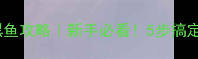 图片 野钓串钩钓黑鱼攻略｜新手必看！5步搞定黑鱼上钩🎣1