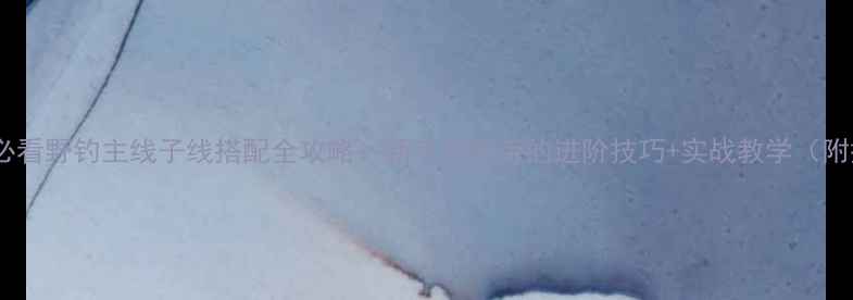 图片 野钓新手必看野钓主线子线搭配全攻略：新手到老手的进阶技巧+实战教学（附搭配表）2