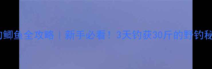 图片 野钓鲫鱼全攻略｜新手必看！3天钓获30斤的野钓秘籍2
