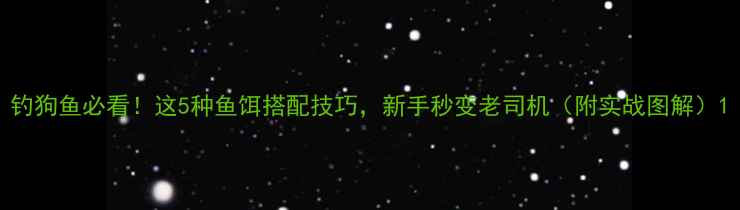图片 钓狗鱼必看！这5种鱼饵搭配技巧，新手秒变老司机（附实战图解）1
