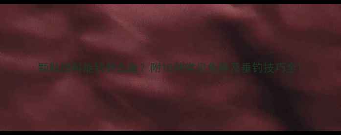 图片 颗粒饵料能钓什么鱼？附10种常见鱼种及垂钓技巧全1