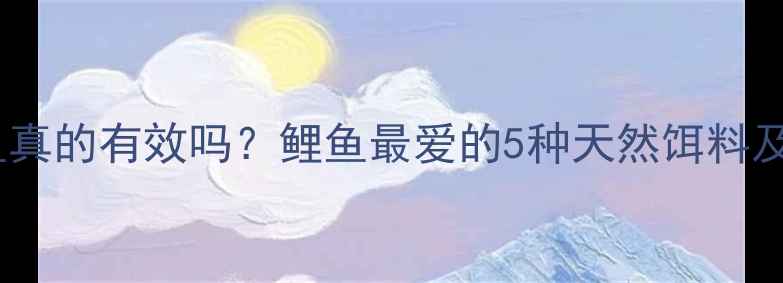 图片 香蕉钓鲤鱼真的有效吗？鲤鱼最爱的5种天然饵料及垂钓技巧2