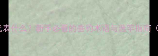 图片 鱼竿型号中的H代表什么？新手必看的垂钓术语与选竿指南（附H型竿实测）1