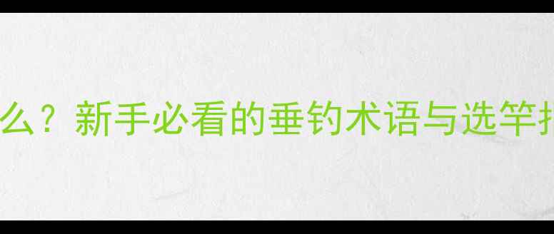 图片 鱼竿型号中的H代表什么？新手必看的垂钓术语与选竿指南（附H型竿实测）2