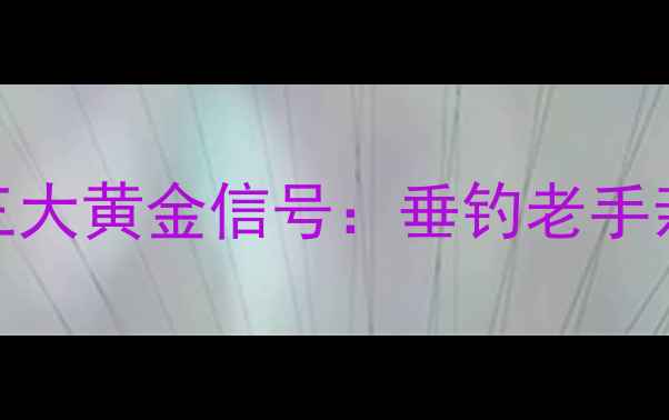 图片 鲫鱼发现食物的三大黄金信号：垂钓老手亲授诱鱼实战技巧