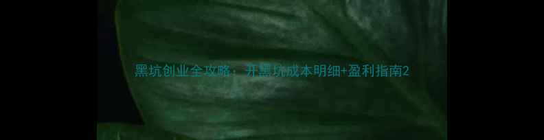 图片 黑坑创业全攻略：开黑坑成本明细+盈利指南2