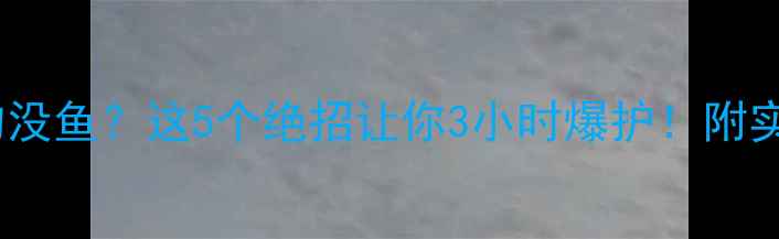 图片 黑坑正钓没鱼？这5个绝招让你3小时爆护！附实战教学1