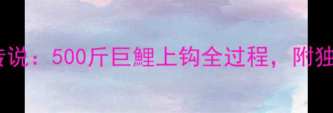 图片 🌊东澳鱼竿巨鯉传说：500斤巨鯉上钩全过程，附独家垂钓攻略！🎣1