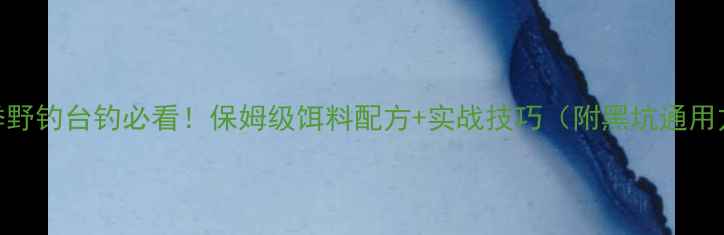 图片 🌟冬季野钓台钓必看！保姆级饵料配方+实战技巧（附黑坑通用方案）