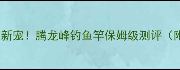 图片 🌟北京垂钓圈新宠！腾龙峰钓鱼竿保姆级测评（附避坑指南）2