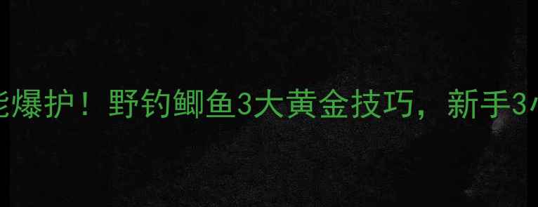 图片 🌟零下10℃也能爆护！野钓鲫鱼3大黄金技巧，新手3小时连竿不断🌟